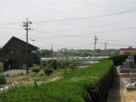 画像31